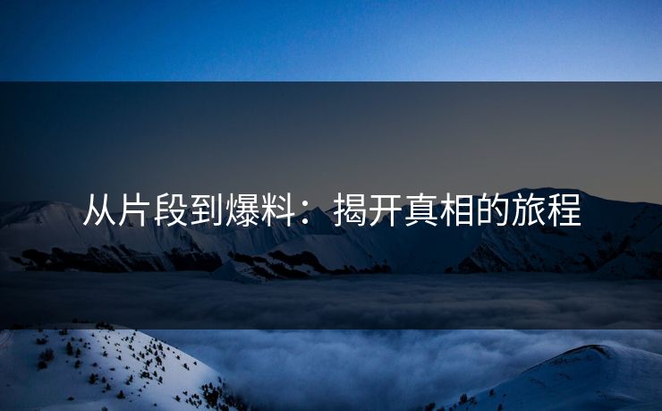 从片段到爆料：揭开真相的旅程