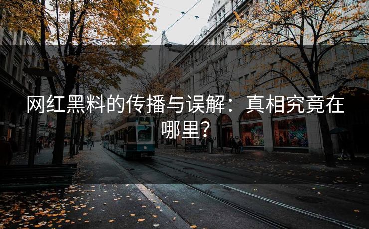 网红黑料的传播与误解：真相究竟在哪里？