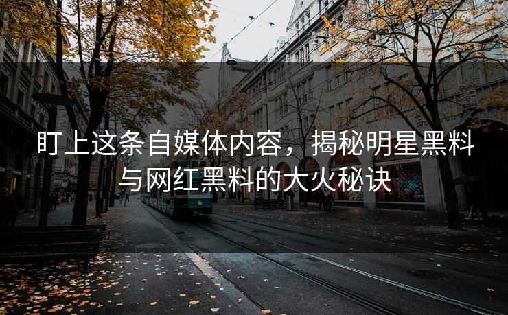 盯上这条自媒体内容，揭秘明星黑料与网红黑料的大火秘诀