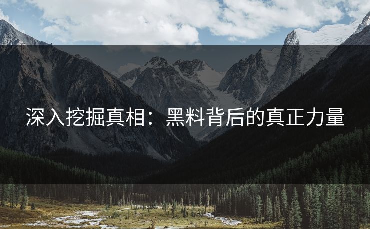 深入挖掘真相：黑料背后的真正力量