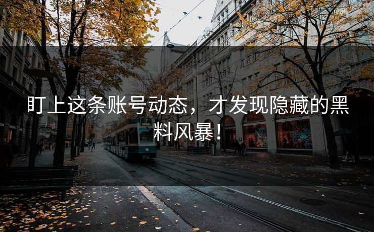 盯上这条账号动态，才发现隐藏的黑料风暴！