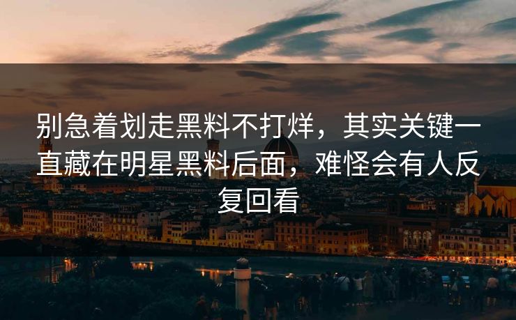 别急着划走黑料不打烊，其实关键一直藏在明星黑料后面，难怪会有人反复回看