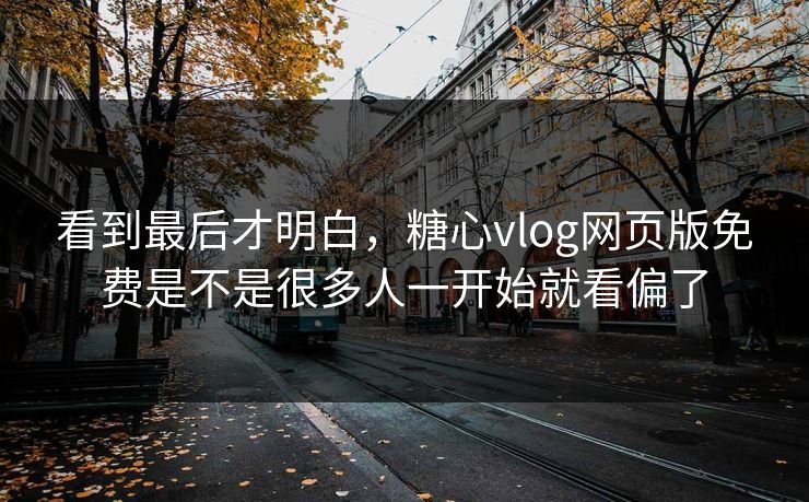 看到最后才明白，糖心vlog网页版免费是不是很多人一开始就看偏了